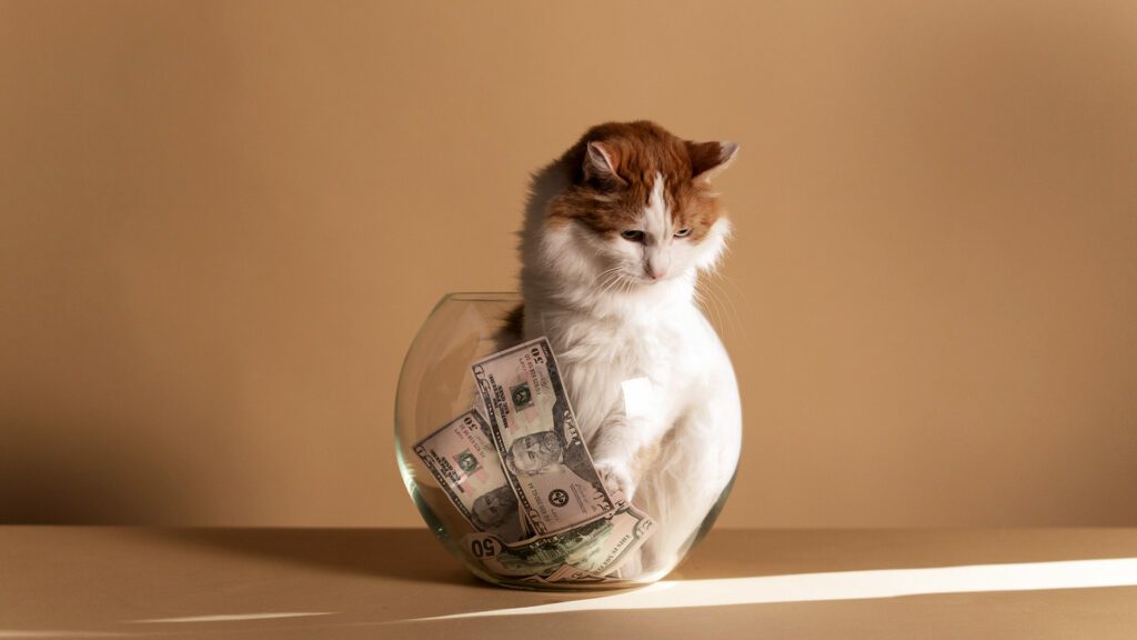 Katze spielt mit Geldscheinen welche in einer Vase sind.