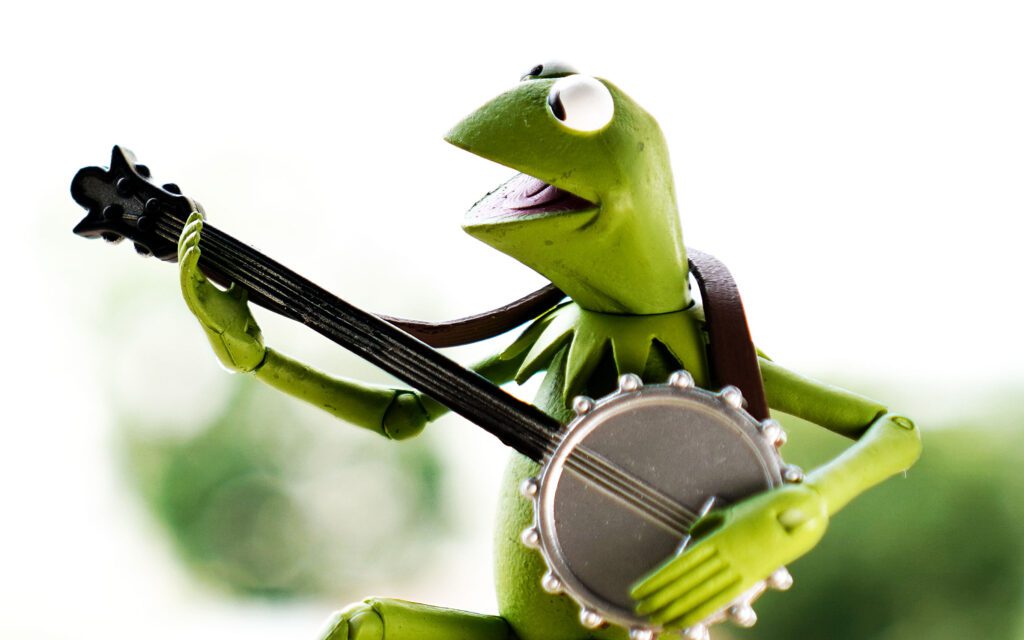 Happy frog playing the banjo guitar.
